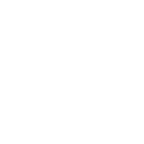 Examination Guidelines